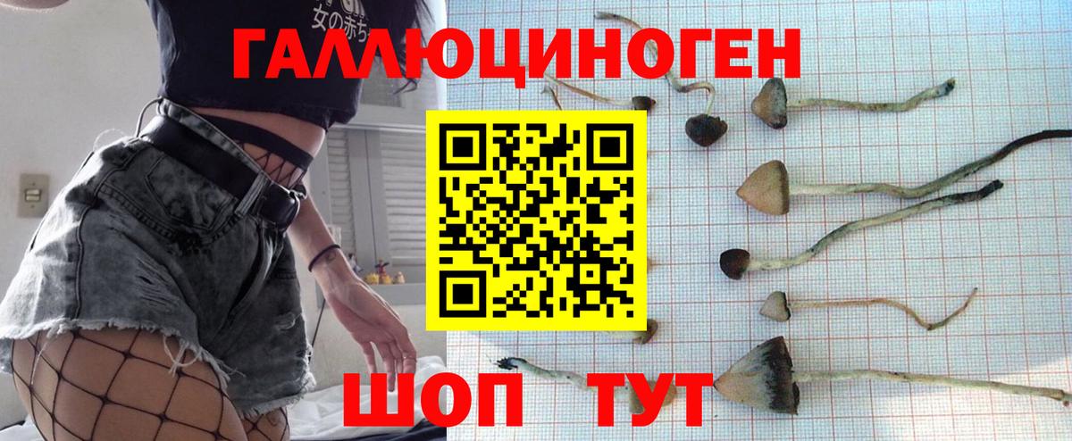Псилоцибиновые грибы мицелий  Вход с VPN  Лесосибирск  Галлюциногенные грибы MAGIC MUSHROOMS 